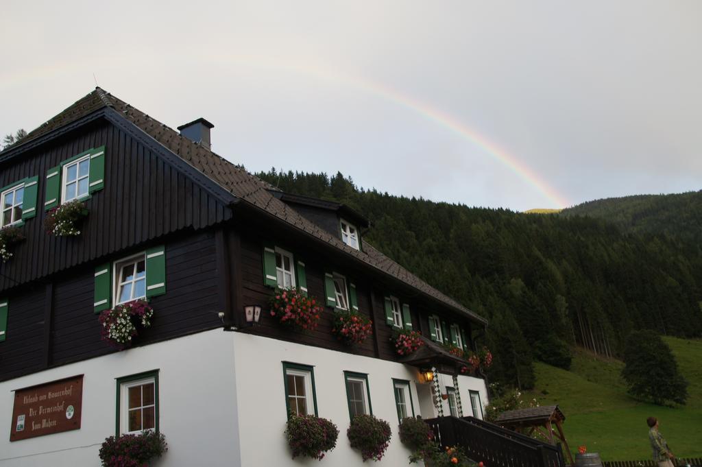 Apartmán Der Perweinhof Donnersbachwald Exteriér fotografie