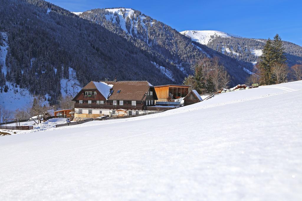 Apartmán Der Perweinhof Donnersbachwald Exteriér fotografie