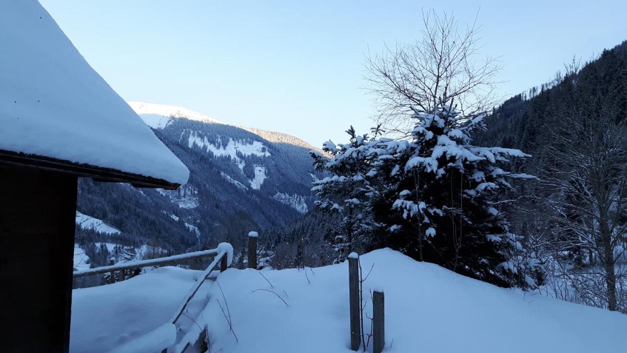 Apartmán Der Perweinhof Donnersbachwald Exteriér fotografie