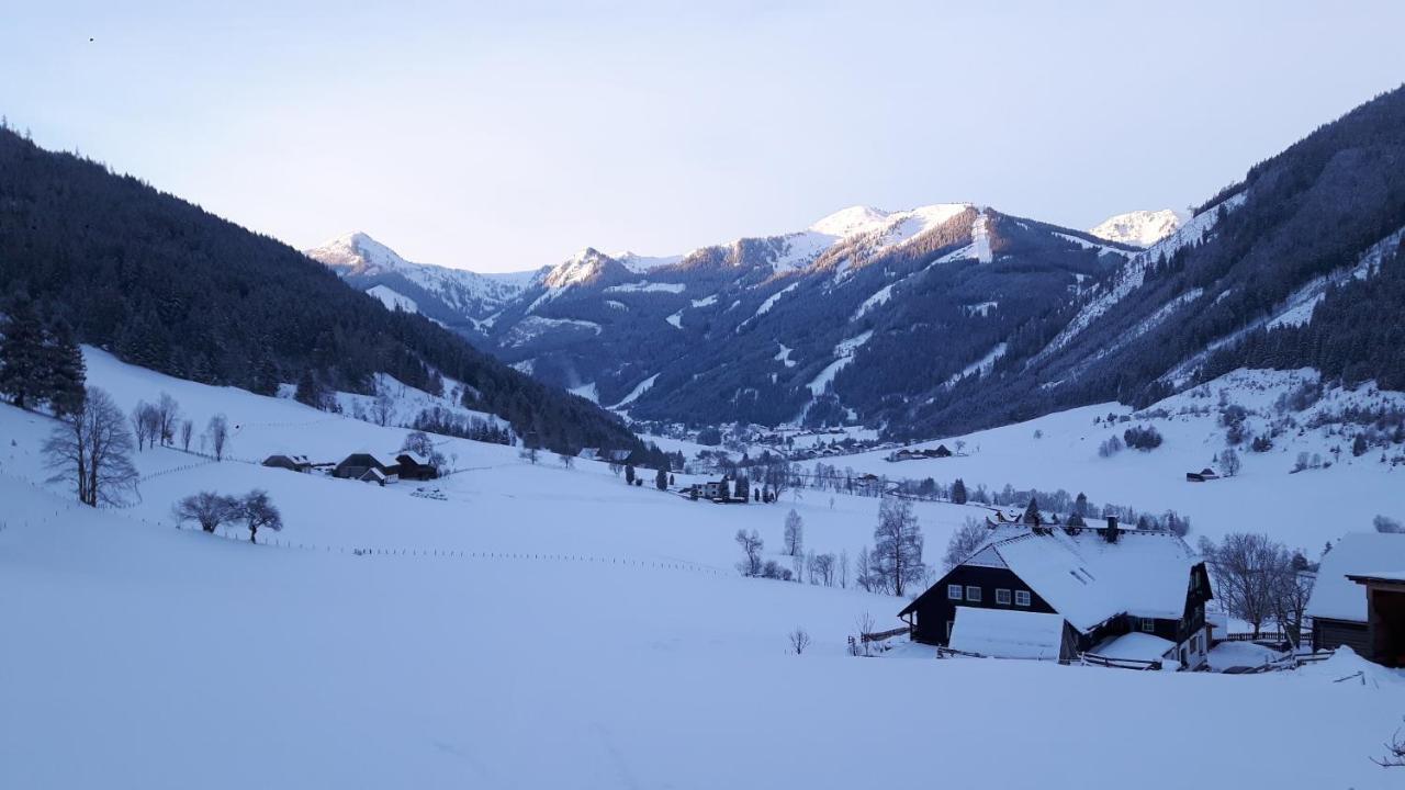 Apartmán Der Perweinhof Donnersbachwald Exteriér fotografie